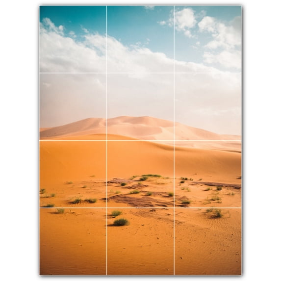 Picture-Tiles.com: Desert Ceramic Tile Wall Mural WAL500489-34XL. 36"W x 48"H using (12) 12" x 12" Ceramic Tiles-Satin Finish