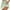 Green, variant on Jacenvly New Summer Skorts for Women Casual Women's Summer Pleated Tennis Skirts Athletic Stretchy Short Yoga Fake Two Piece Trouser Skirt Shorts Soft Satiny Green