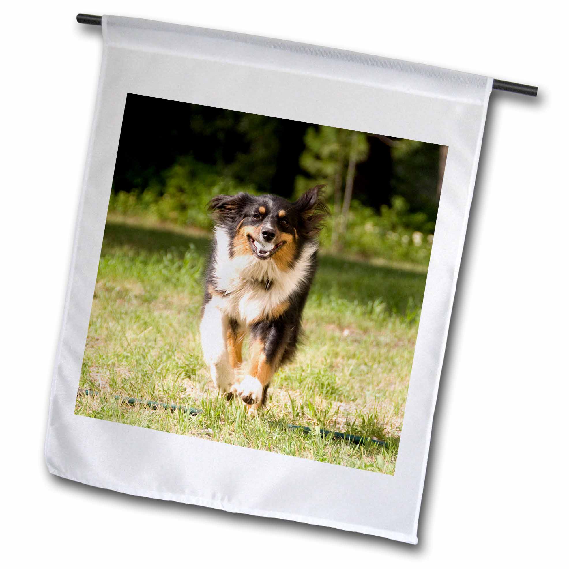 3dRose Keramik-Becher Mit Basset Hund & US-Flagge Design – 625 Ml, Weiß Mit Goldrand, Beidseitig Bedruckt