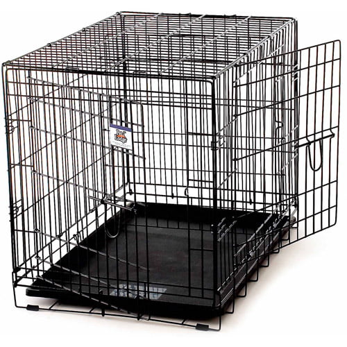 24" Iconic Pet Foldable Double Door Pet Training Crate with Divider 
