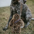 thumbnail image 4 of Star Wars Chewbacca Jouet en Peluche pour Chien Squeaker, 4 of 5