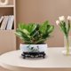 thumbnail image 5 of Cuenco de flores hidropónico de cerámica, maceta de estilo chino con soporte, cuenco de agua interior al aire libre para plantas bonsái, maceta de jardín decorativa para el hogar de la oficina, 5 of 7