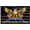 A, variant on KUNPENG America 250th Anniversary Flag, 3x5 FT Premium 3-Ply Heavyweight Polyester US Banner, Commemorative 1776-2026 Semiquincentennial Decoration for Outdoor Garden & Events