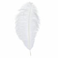 thumbnail image 2 of Casaio White Feathers White Feathers – Soft Decorative Feathers for DIY Crafts, Wedding, Parties & Christmas Decorations Feather Decorations, 2 of 9
