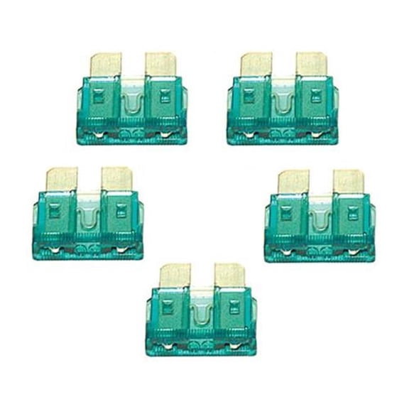 30-Amp Fuse (5 pc. Pack)
