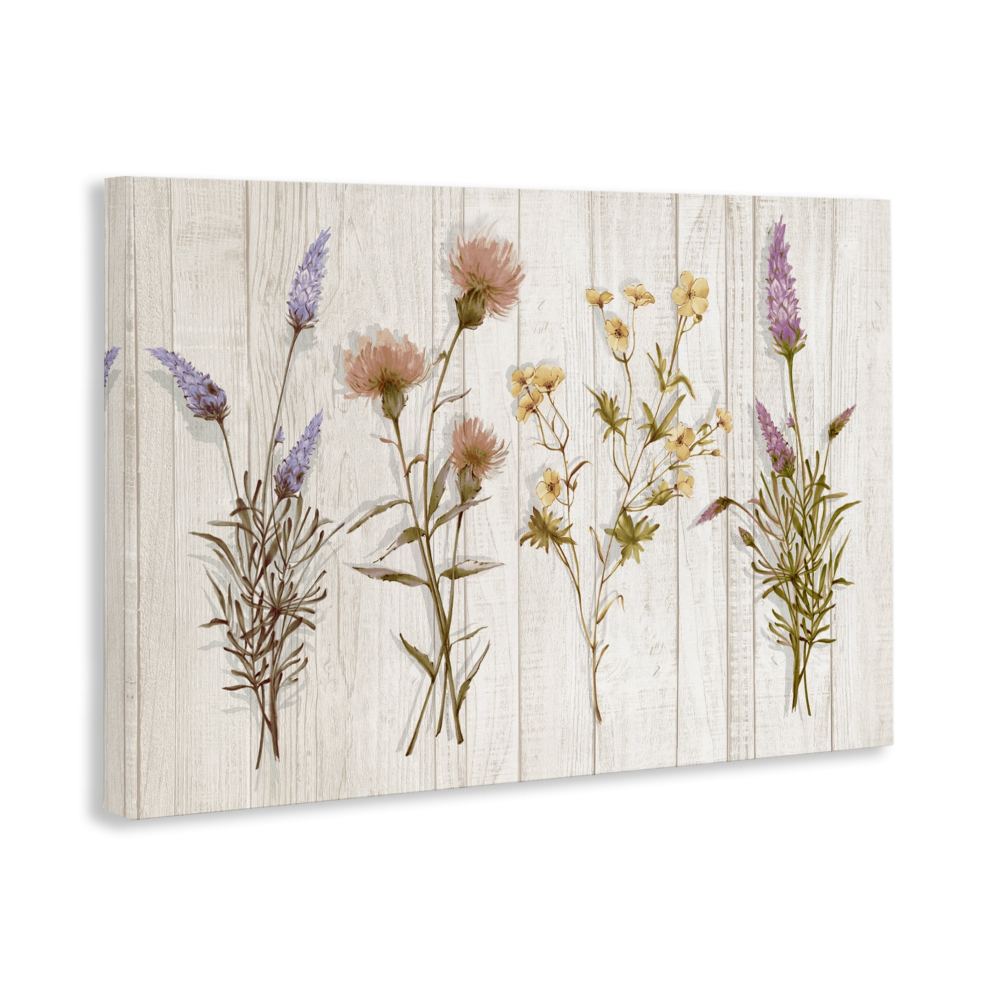Stupell Industries Wild Flower Sprigs Plants & Flowers Painting Wrapped Canvas Art Print Wall Art, 45 x 30