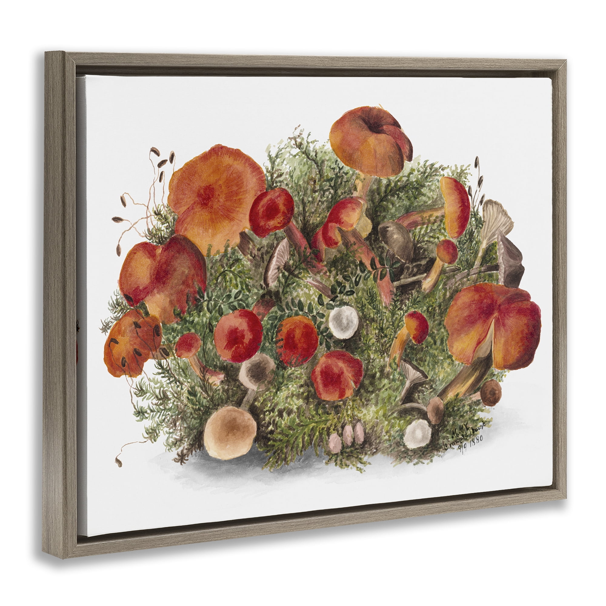 Stupell Industries Rustic Cottage Mushrooms Botanical & Floral Painting Brown Floater Framed Art Print Wall Art, 31 x 25