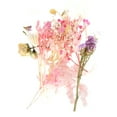 thumbnail image 3 of Material Para Hacer Ramos, Flores Secas De Secado Al Aire De Fragancia Tenue Natural Pura Brillante Y Vívida Para Decoración De Ropa Para Equipaje OTVIAP Rosa (# 1), 3 of 8