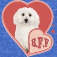 thumbnail image 2 of CafePress - BFF Bichon Frise - Cute Infant Baby Football Bodysuit, 2 of 3