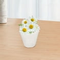thumbnail image 4 of SEWACC 10pcs Clear Pots Transparent Nursery Pots for Monitoring Root Growth in Plants, 4 of 8