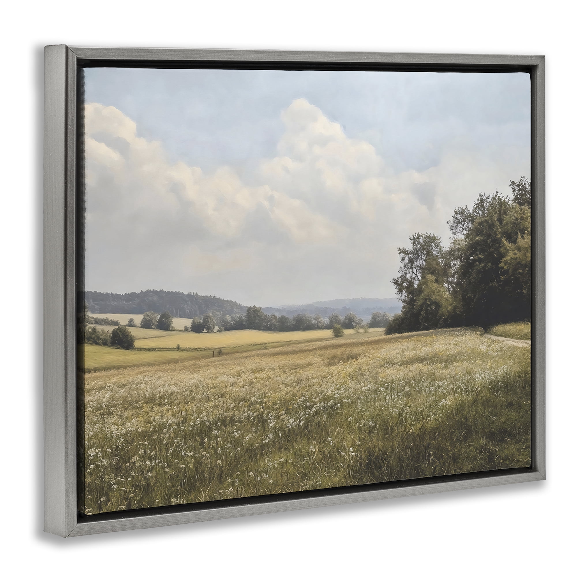 Stupell Industries Summer Landscape Cloudy Meadow Gray Framed Floater Canvas Wall Art, design by Franklyn Gregory