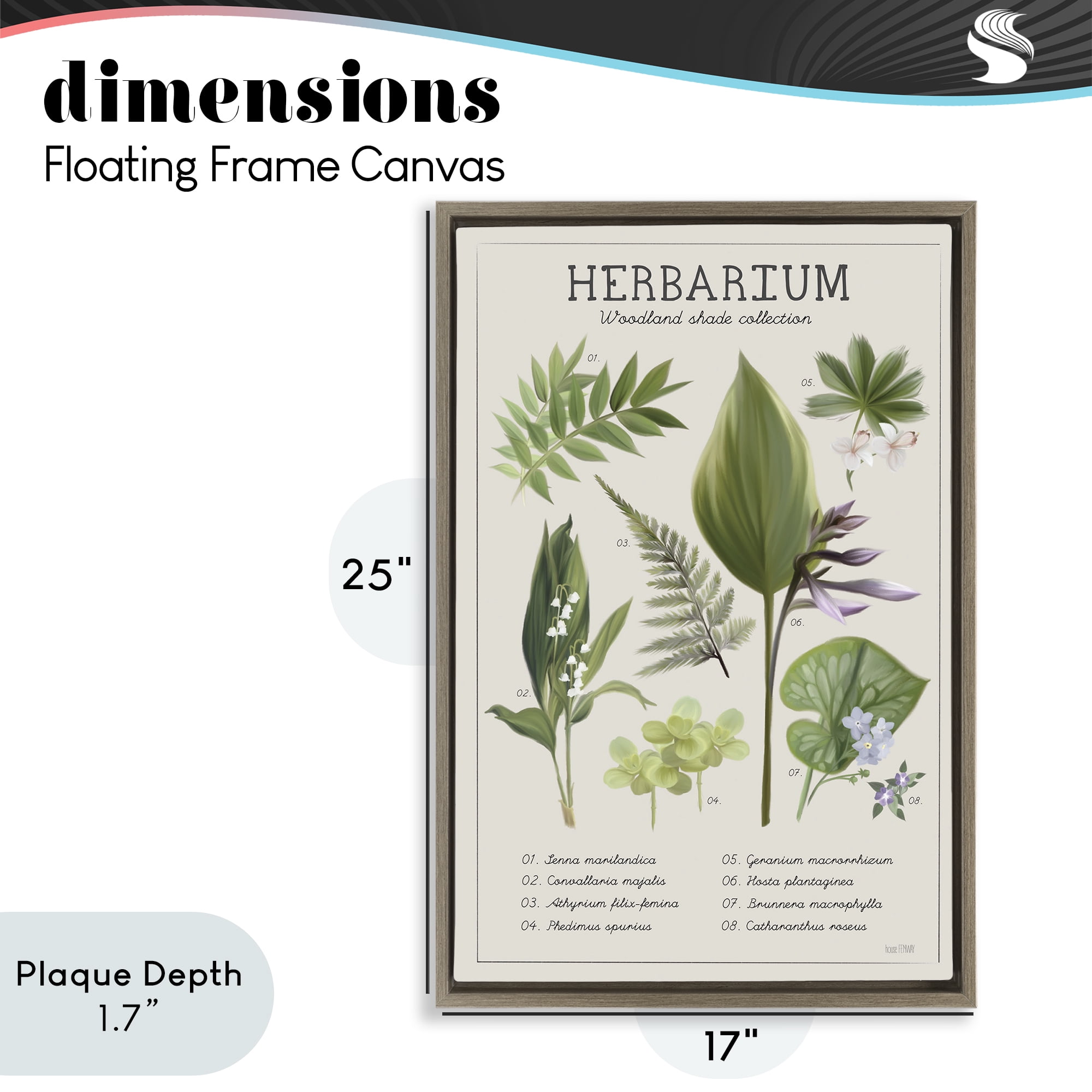Stupell Industries Herbarium Woodland Shade Collection Brown Framed Floater Canvas Wall Art, design by House Fenway