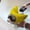 Yellow, variant on Adjustable Waterproof Pet Shower Cap for Cats Dogs, Reusable Bath Ear Cover with Straps, Grooming Accessory for Kitten Puppy Small Pets, Red