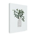thumbnail image 2 of Trademark Fine Art Sarah Manovski Scandi Japandi House Plant 3 Canvas Wall Art, 2 of 4