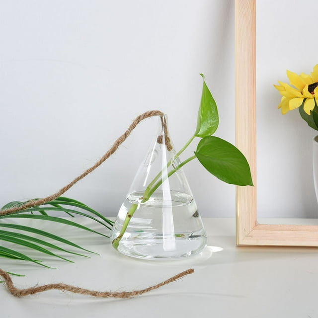 Holiday Decor Event Decoration for Wedding Decoration Home Decor Home Decoration Party Decoration Hanging Glass Ball Vase Flower Plant Pot Terrarium Container Party Wedding Decor