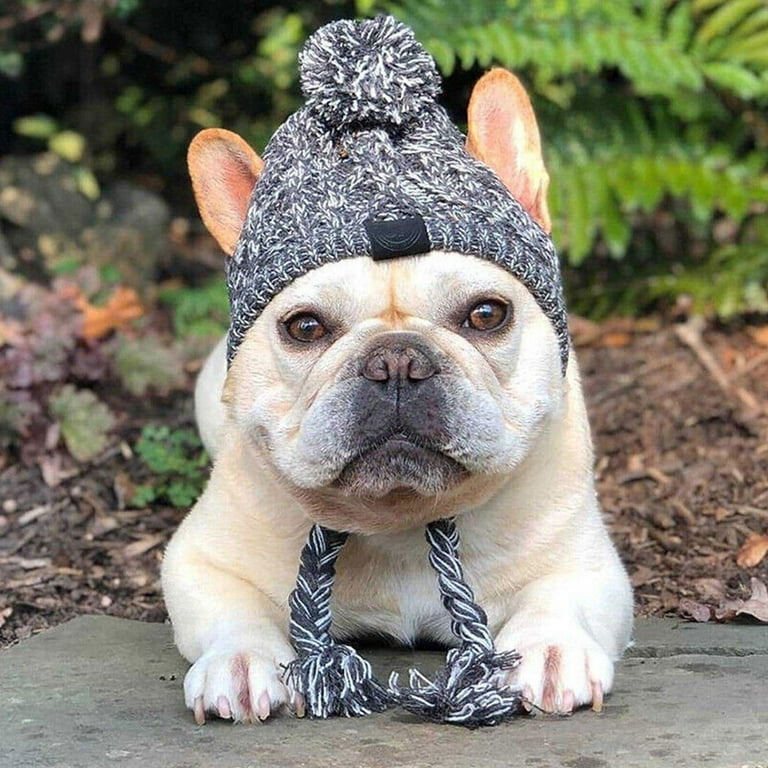 French bulldog cheap hat