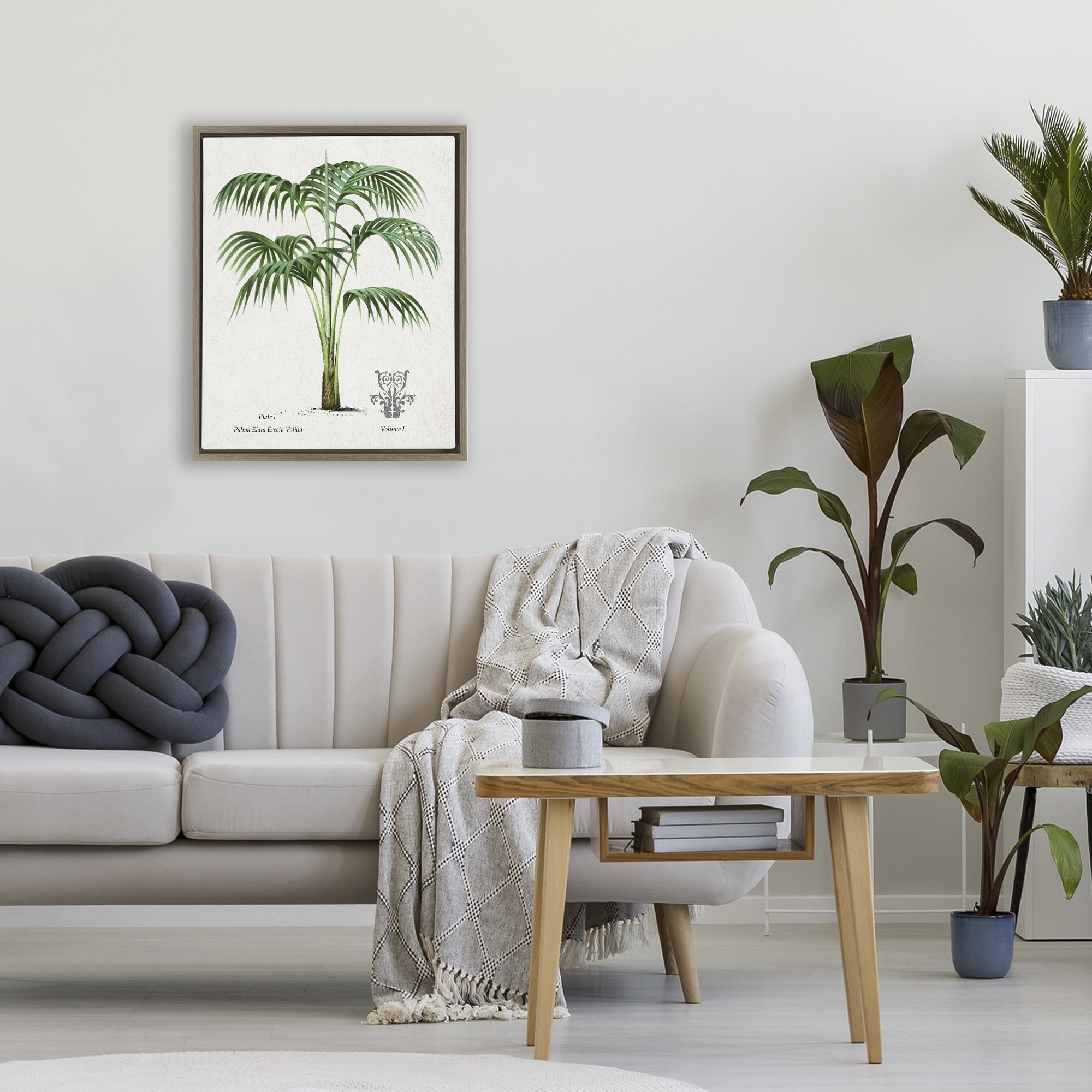 Stupell Industries Natural Palm Study Brown Framed Floater Canvas Wall Art, design by Val Rhodes