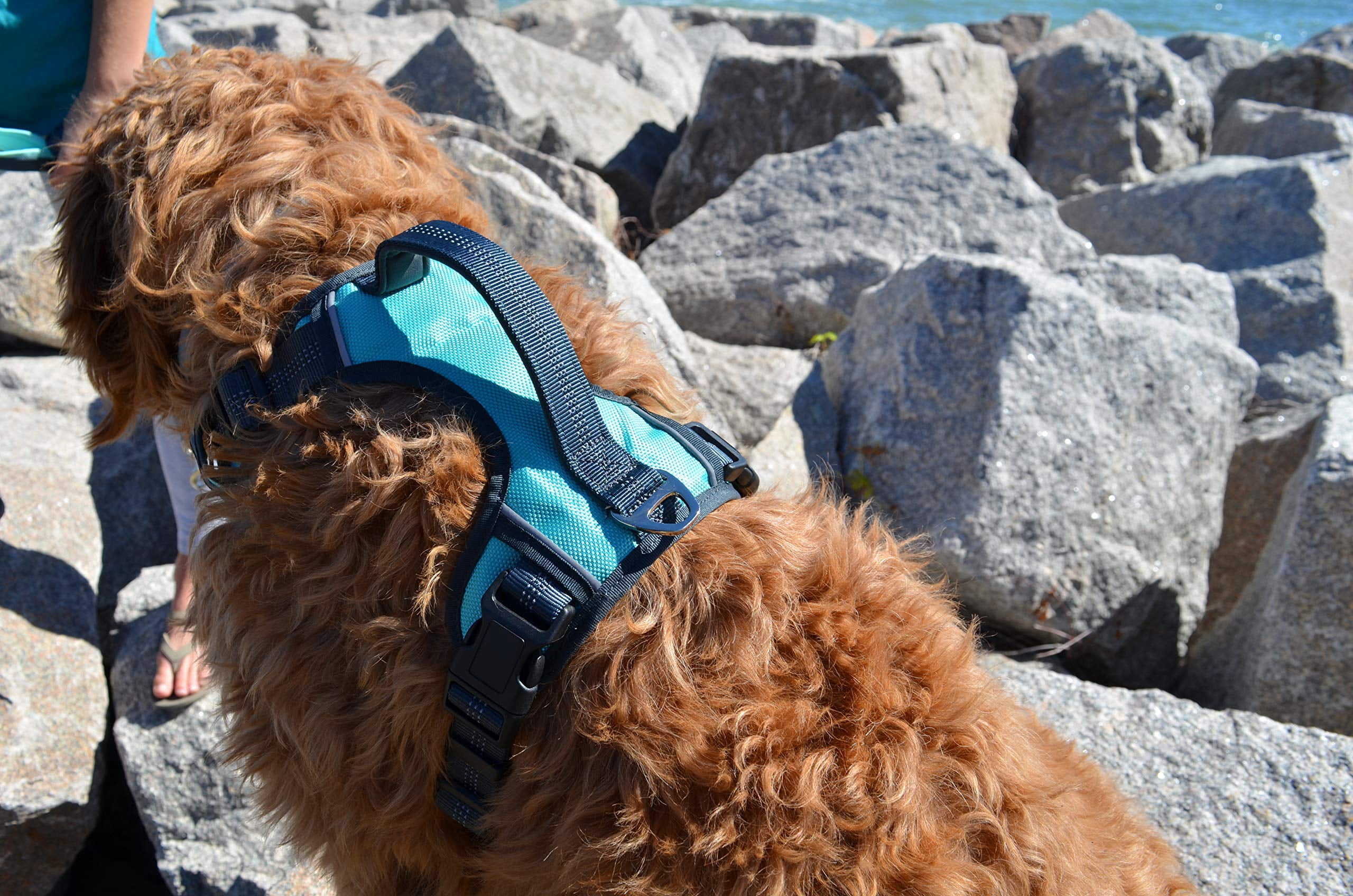 The Comfort Dog Harness With Mesh Padded Vest Aqua - Small Breeds