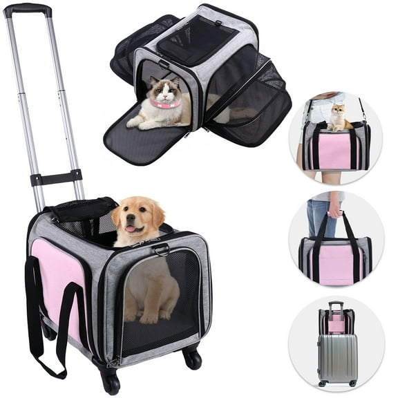 BEBANG Rolling Pet Carrier with Wheels, Foldable Airline Approved Dog Carriers for Small Dogs and Cats, Cat Carrier on Wheels, Pet Travel Carrier for Flight Camping Outdoor
