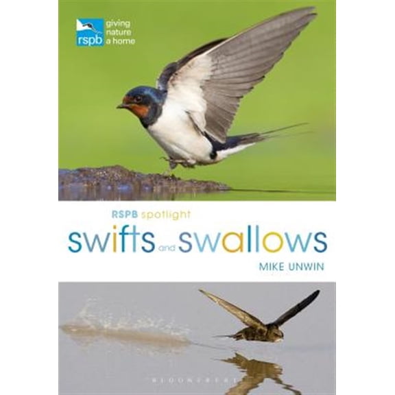 Pre-Owned RSPB Spotlight Swifts and Swallows
