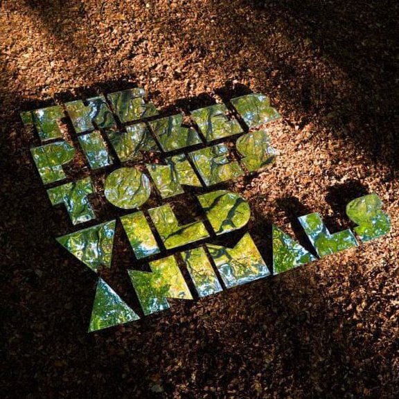 THE PINKER TONES - WILD ANIMALS