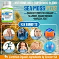 thumbnail image 2 of Power by Naturals - Certified Organic Sea Moss Plus - Wildcrafted Irish Sea Moss Bladderwrack Burdock Root - Pure Sea Moss Powder Supplements - 60 Vegan Capsules, 2 of 8