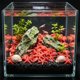 thumbnail image 4 of Piedras fluorescentes para acuario que brillan en la oscuridad: decoración de plástico fluorescente para peceras, conchas y piedras luminosas para paisajismo acuático nocturno, decoraciones, 4 of 6