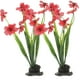 thumbnail image 1 of KAKOWELY 2 piezas de plantas decorativas para pecera, delicadas plantas artificiales para acuario de escritorio, accesorio para acuario, 1 of 5