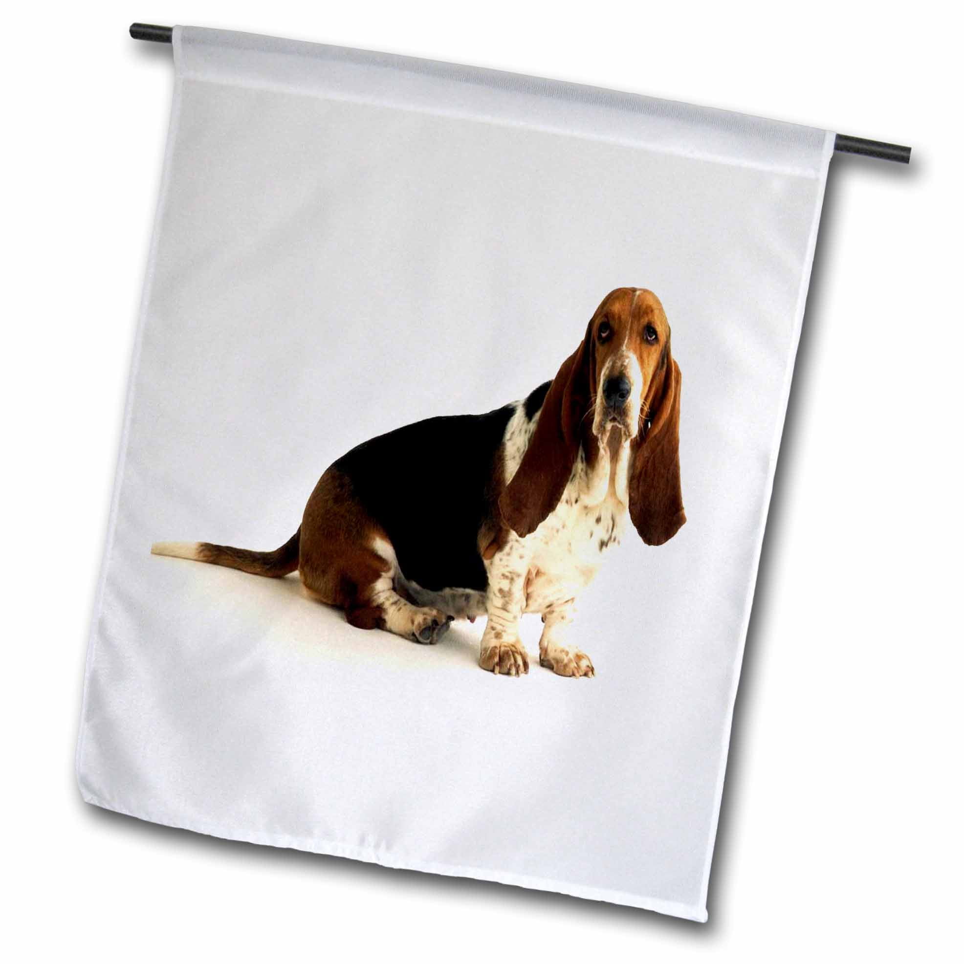 3dRose Handsome Basset Hound Garden Flag, 12 by 18inch
