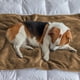 thumbnail image 1 of Xihbxyly Manta de Lana de Cordero para Mascotas, Impermeable, Suave y Cálida, Acolchada, Acogedora, Impermeable y Cómoda, Perfecta para Mascotas Pequeñas, Medianas y Grandes, 101 X 76 Cm, 1 of 6