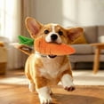 thumbnail image 2 of Giant Carrot Dog Toy, Dog Squeaky Toys to Keep Them Busy for Small, Medium, & Large Dogs, Cute Carrot with Soft Squeaker – Durable Bite-Resistant Plush, Embroidered Details (1PC, S), 2 of 7