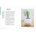 thumbnail image 6 of Succulent Obsession: A Complete Guide, (Hardcover), 6 of 10