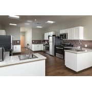 Delta Essa Single-Handle Pull-Down Kitchen Faucet - 9113T-DST - Chrome