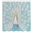 thumbnail image 3 of Ambesonne Peacock Shower Curtain, Nature Ornate, 69"Wx70"L, Yellow Pale Blue, 3 of 5