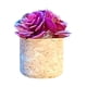 thumbnail image 1 of Ambientador para Coche, Difusor de Aceite Vegetal, Clip de Ventilación Reutilizable para Plantas, Pastilla de Aromaterapia Incluida, Compatible con Aceites Esenciales, Decoración para Coche, Regalo p, 1 of 2