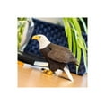 thumbnail image 6 of Safari Ltd. Bald Eagle Figurine - Lifelike 7" Model Figure - Educational Toy for Boys, Girls, and Kids Ages 18 months+, 6 of 6