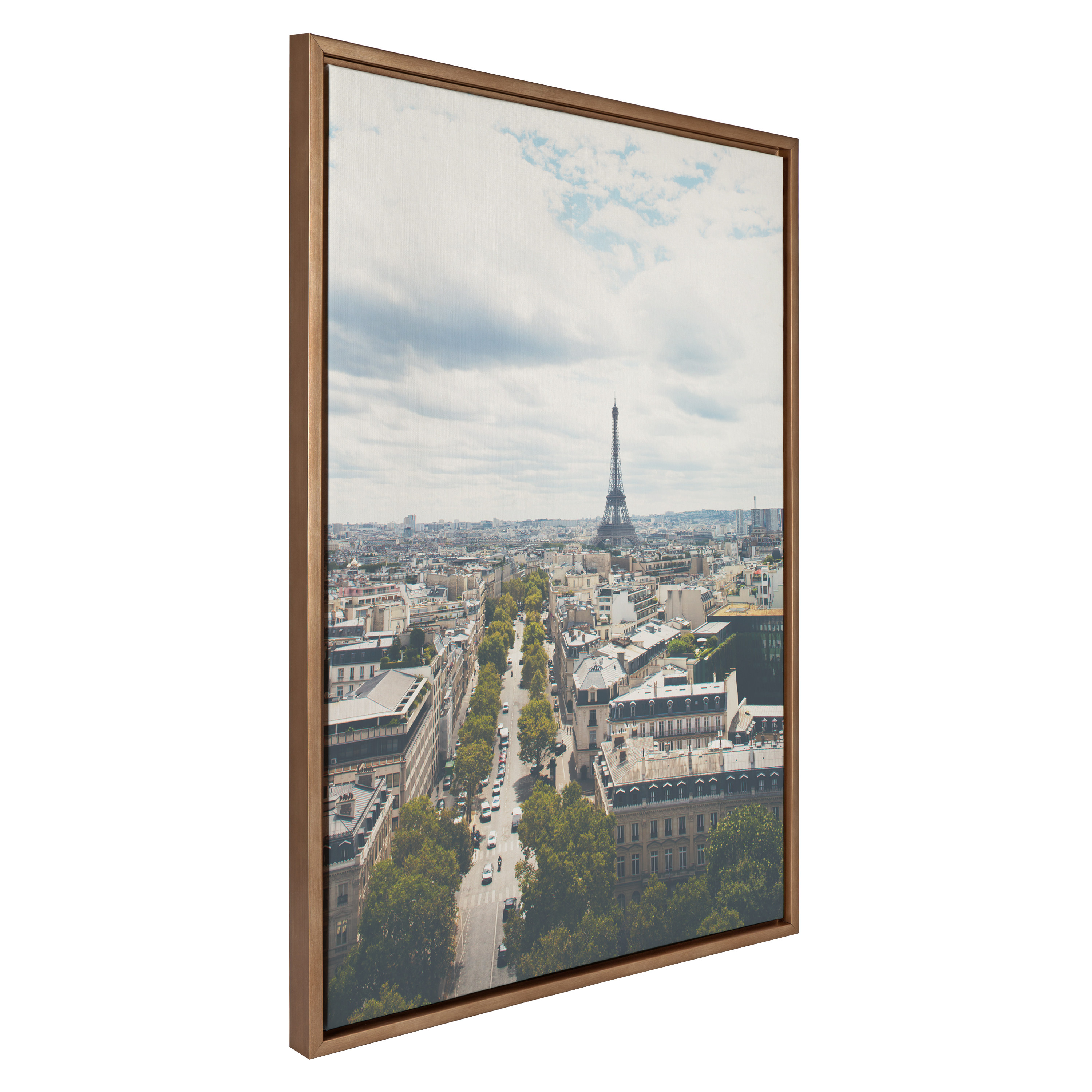 Kate and Laurel Photography Framed Painting, 28 in x 38 in