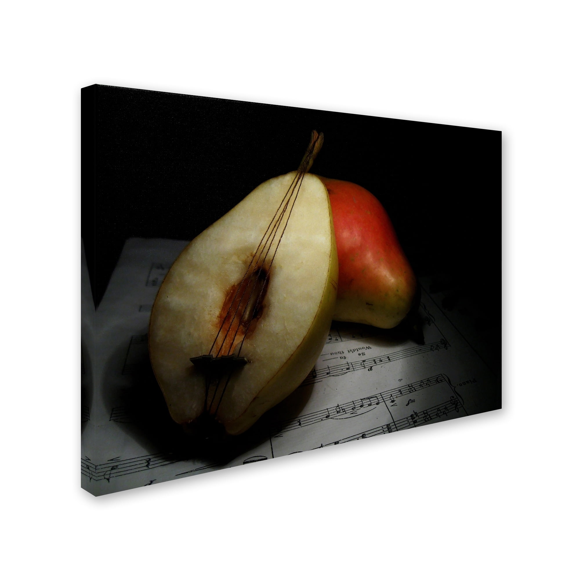 Trademark Fine Art 'Still Life' Canvas Art by Emine Basa