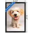 thumbnail image 3 of Keith Kimberlin - Puppy Wall Poster, 14.725" x 22.375" Framed, 3 of 4