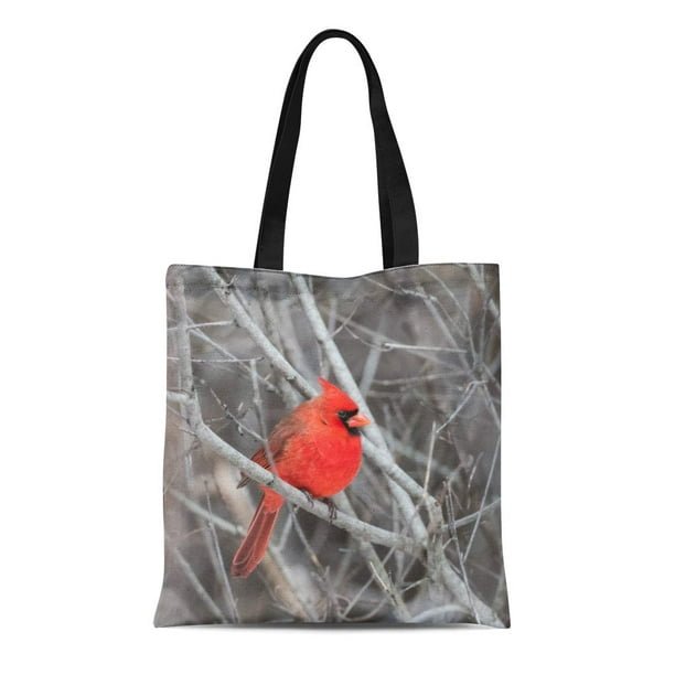 Packable Nylon Tote Bag in Winter Cardinal Print