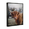 thumbnail image 3 of Stupell Industries Highland Cattle Cow Gazing Warm Sunny Portrait Photograph Jet Black Floating Framed Canvas Print Wall Art, Design by Dakota Diener, 3 of 5