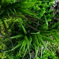 thumbnail image 5 of Nearly Natural 20in. x 40in. UV Resistant Borneo Jungle Artificial Living Wall Panel (Indoor/Outdoor), 5 of 10