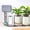Grey, variant on Automatic Watering System for Potted Plants, [Wi-Fi & App Control] Drip Irrigation Kit System, Smart Plant Watering Devices for Indoor Outdoor, Water Shortage Remind, IPX66, Green