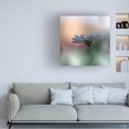 thumbnail image 2 of Juliana Nan 'Eyes Of The Light' Canvas Art, 2 of 4