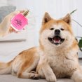 thumbnail image 3 of Pet Perfume A High Appearance Floral Spray Suitable for Dogs and Cats 50ml, 3 of 5