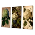thumbnail image 3 of Designart "Retro-Colored Hydrangea Blossoming II" Floral Wall Art Set Of 3 - Traditional Green Gallery Wall Set For Home Decor, 3 of 6