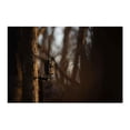 thumbnail image 4 of Paquete de 8 Soportes Mount Stealth Cam Eco con Tubo de Acero y Pivot, 4 of 9