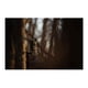 thumbnail image 4 of Paquete de 8 Soportes Mount Stealth Cam Eco con Tubo de Acero y Pivot, 4 of 9