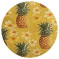 thumbnail image 3 of Lunarable Pineapple Round Small Area Rug, Print Non Slip Washable Floor Mat, Soft Throw Rug for Living Room, Powder Room Entryway, Bathroom, Bedside, 3 of 6