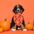 thumbnail image 5 of 2 Ensembles de Costume Pirate Halloween pour Animaux de Compagnie, Costumes de Jeu de Rôle Pirate Style:style1, 5 of 5